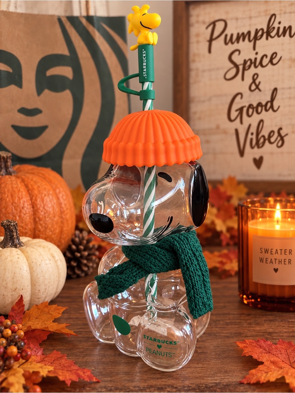 Starbucks Peanuts Snoopy Acrylic Tumbler with Orange Hat & Green Scarf